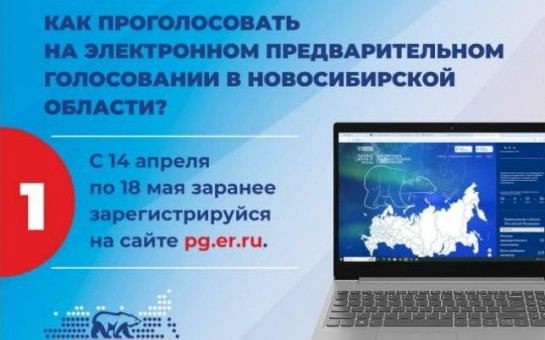 Предварительное голосование Единой России