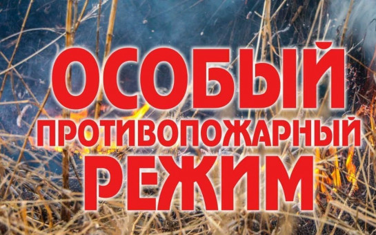 Уважаемые жители и гости района! Информируем Вас об установлении с 11 апреля 2025 года на территории Здвинского района Новосибирской области пожароопасного сезона.