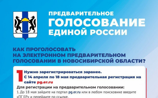 Предварительное  голосование Единой России